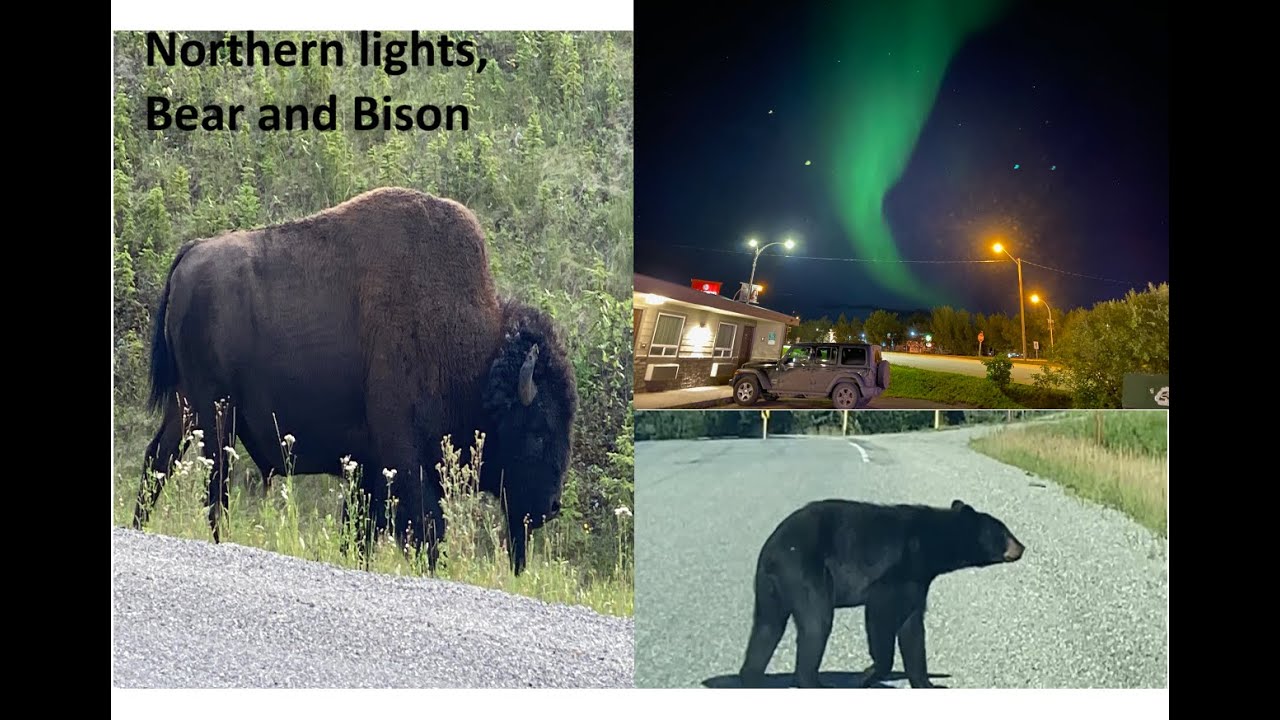 Alaska Trip 2022 - Part 5: Fort Nelson to Watson Lake | Liard Hot Springs
