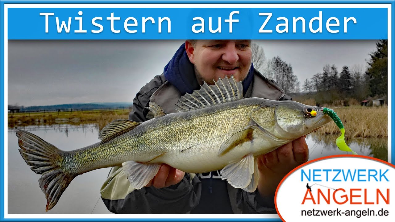 Zander twistern am Weiher!