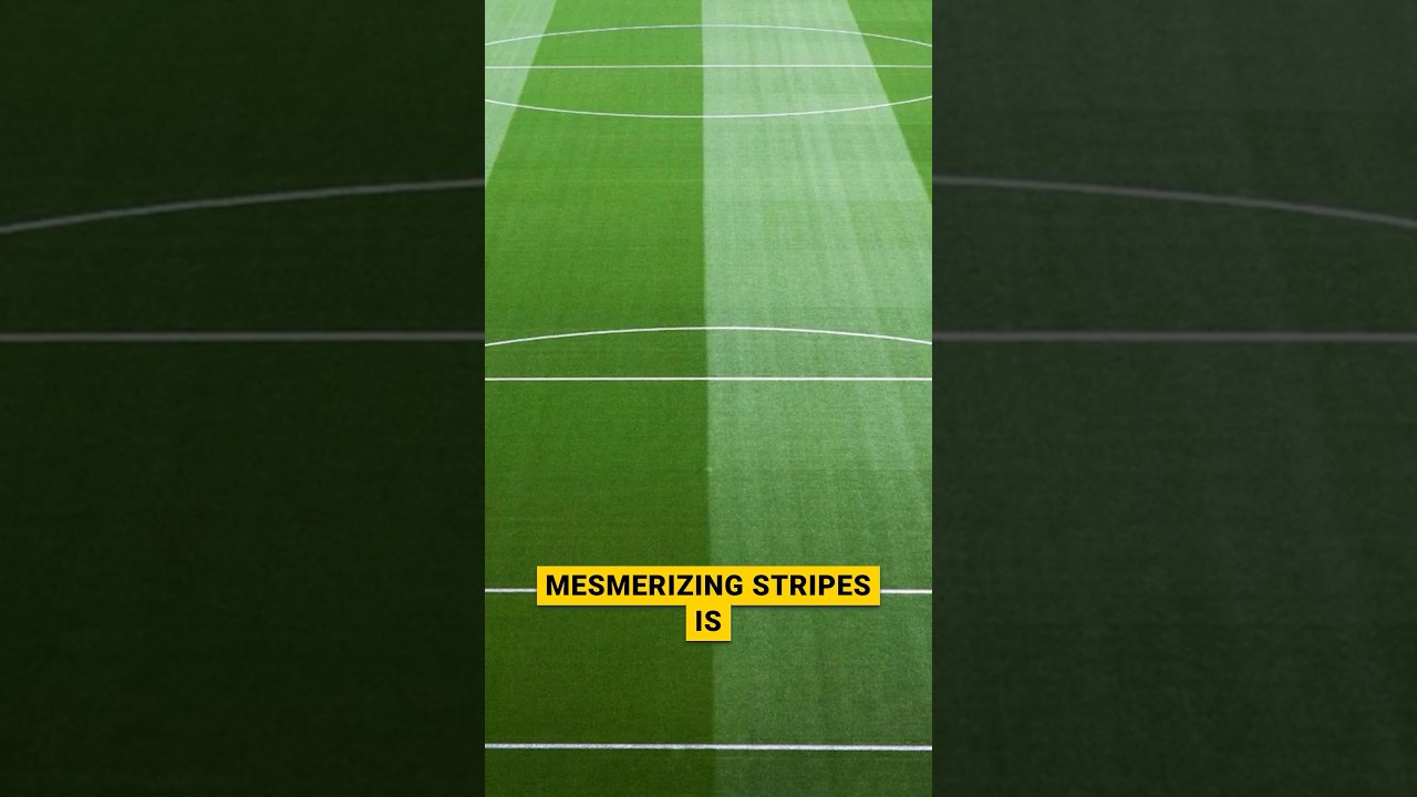 🧐Why football pitches have stripes?