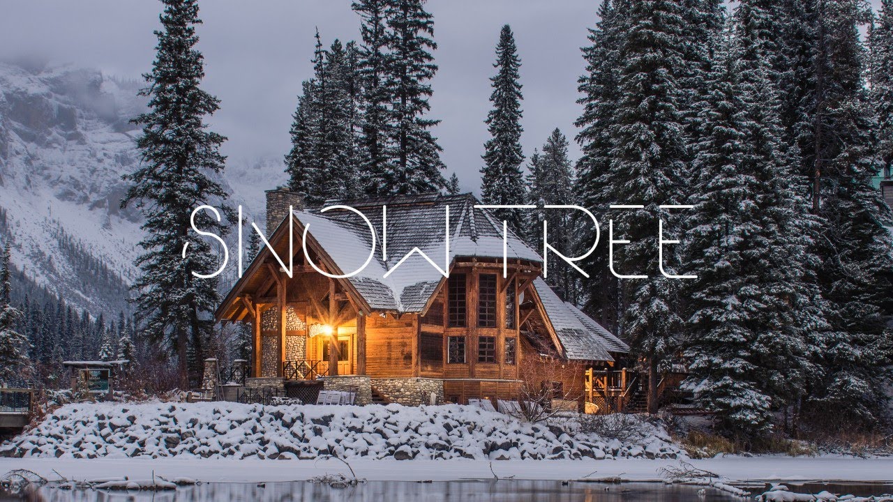 Snow Tree - Aman [Official Lyrical Video] [Official Audio] || @PacificProduced
