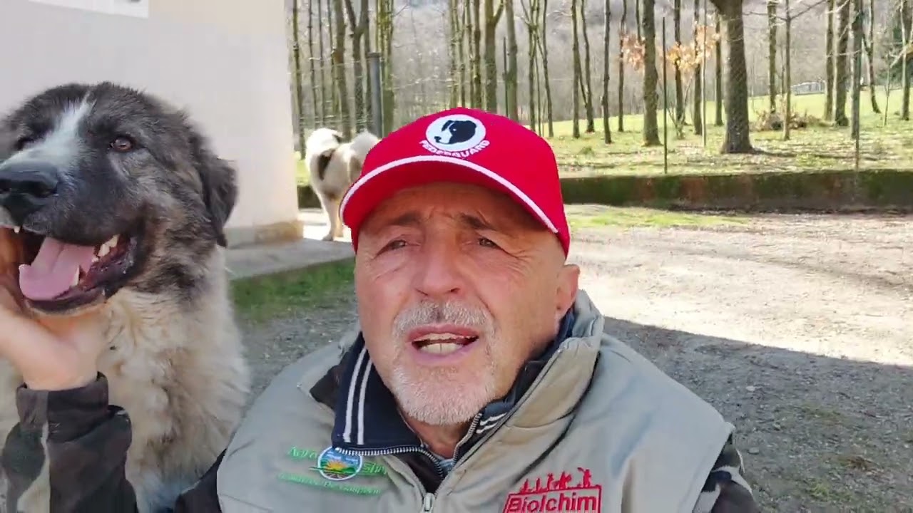 3a PARTE di 10 - QUANDO e COME inserire i Cani da Guardia nel nostro giardino?(Video 22)