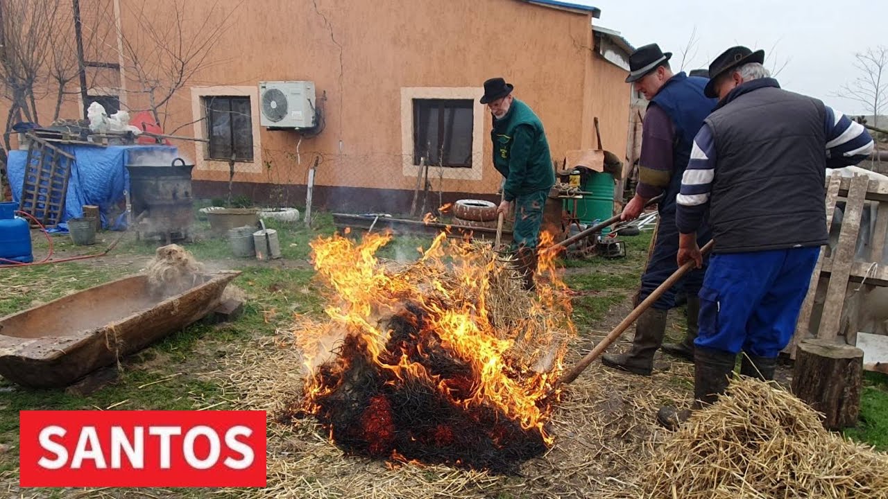 TRADICIONALNA PRIPREMA MANGULICE NA SALAŠU U MUŽLJI