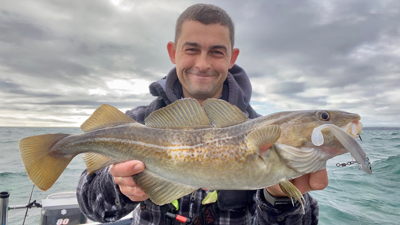 Ловля трески, окуня и сайды на приманки — Sea Fishing UK | The Fish Locker