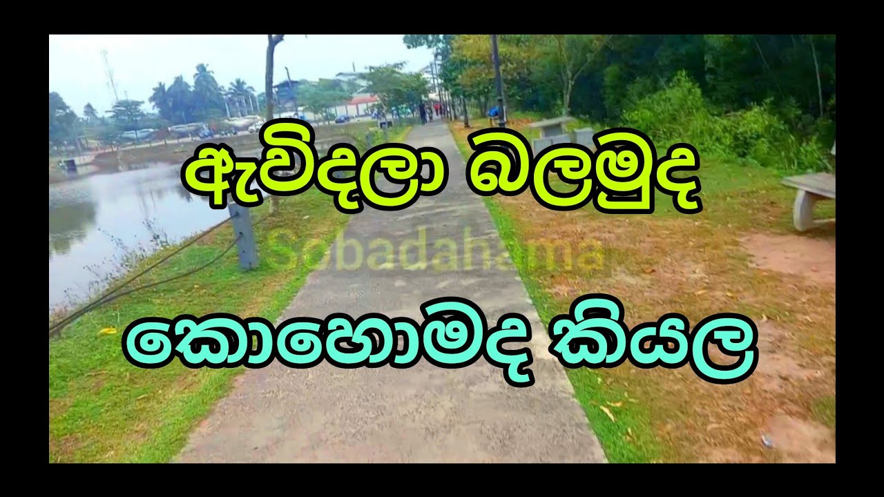සොබාදහමත් සමඟ ව්‍යායාම කරන්න /#sobadahama 