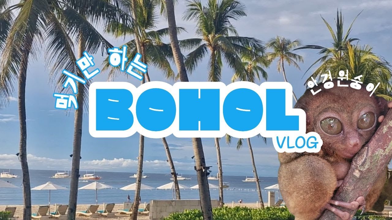 어쩐지 먹기만 하는 것 같은 보홀 여행 브이로그[0.5박|시원리조트|스노쿨링|나팔링|돌조비치|뎁뎁생츄어리|헤난 타왈라 리조트|알로나비치|토피토피|빠우|할로망고|도도스파|바안스파]
