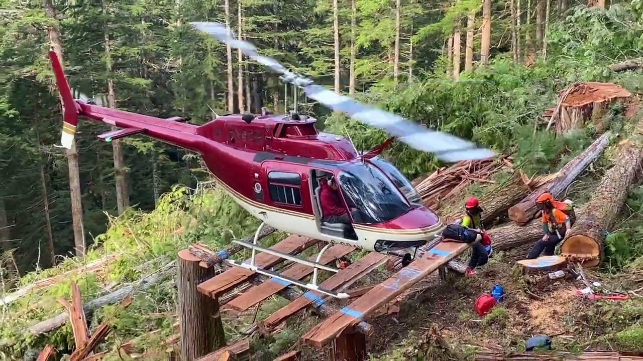 Heli Logging Fallers BC Coast Miskatla Inlet