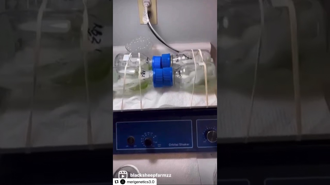 Join our facebook group Ultimate Tissue Culture Solutions