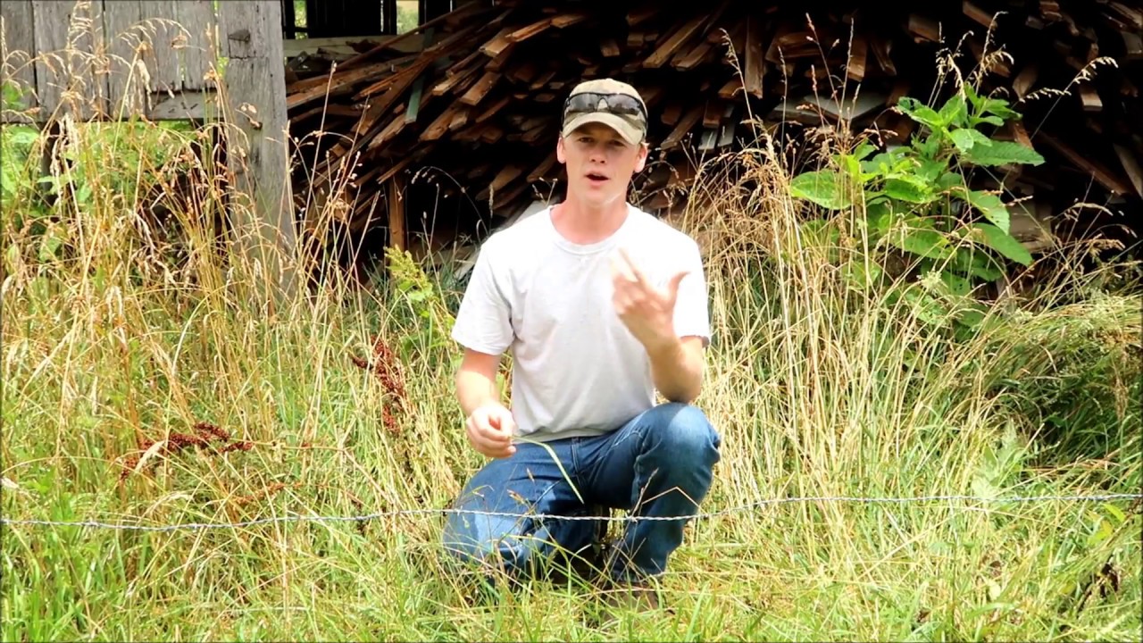 How to Easily Test if an Electric Fence is On
