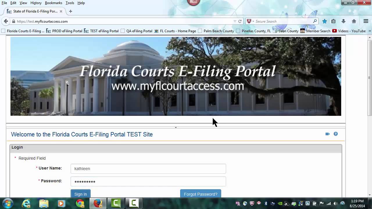 Florida Courts E-Filing Video - Getting Started for the Self Represented Litigant