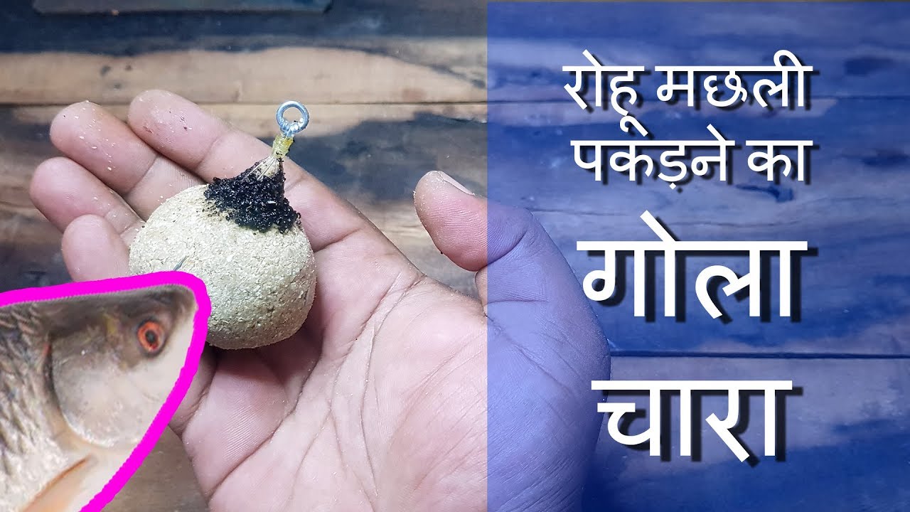 बड़े रोहू मछली पकड़ने का गोला चारा Amazing Best Rohu Fishig Bait Gola Chara Hindi Video