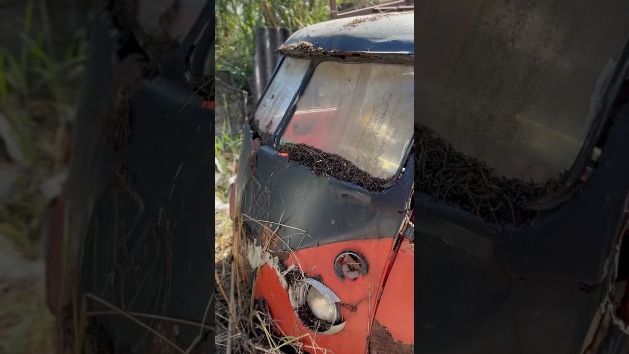 RESTAURA&Ccedil;&Atilde;O de carros antigos VW FUSCA KOMBI OPALA HENRIQUE CARVALHO trocar autos antigos QUINTAL
