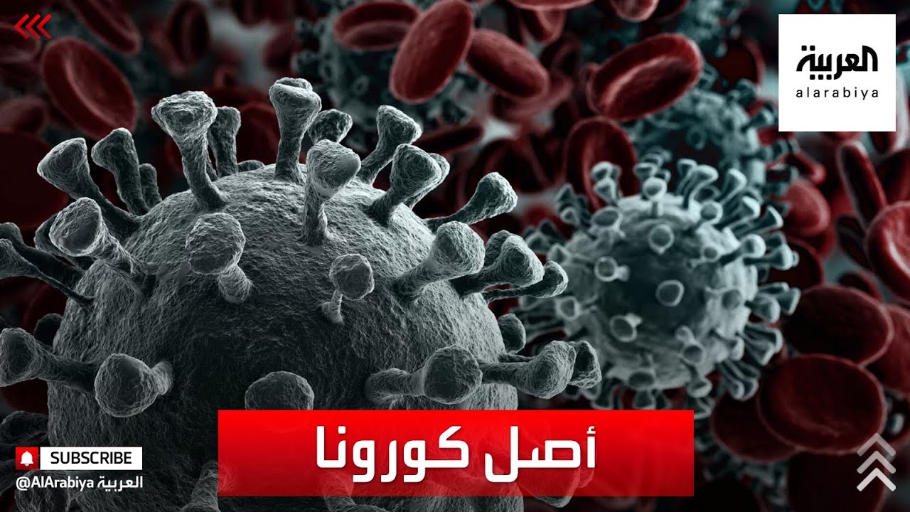 قصة 12 تاجرا وأصل كورونا في ووهان