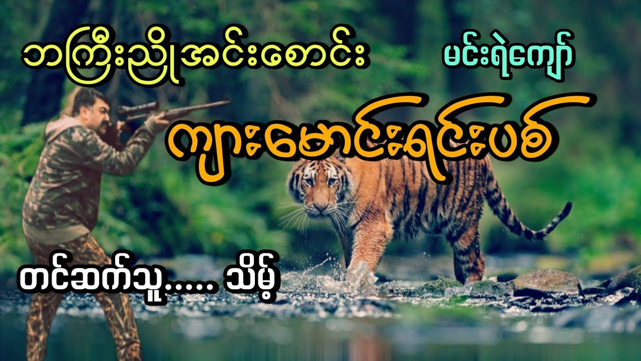 #ဘကြီးညိုအင်းစောင်းကျားမောင်းရင်းပစ်#မင်းရဲကျော်#သိမ့်