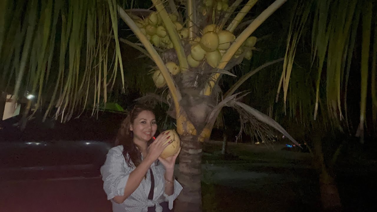 Beach and coconuts water my house PSL Fl. សមុទ្រហើយកាប់ដូងទាំងយប់