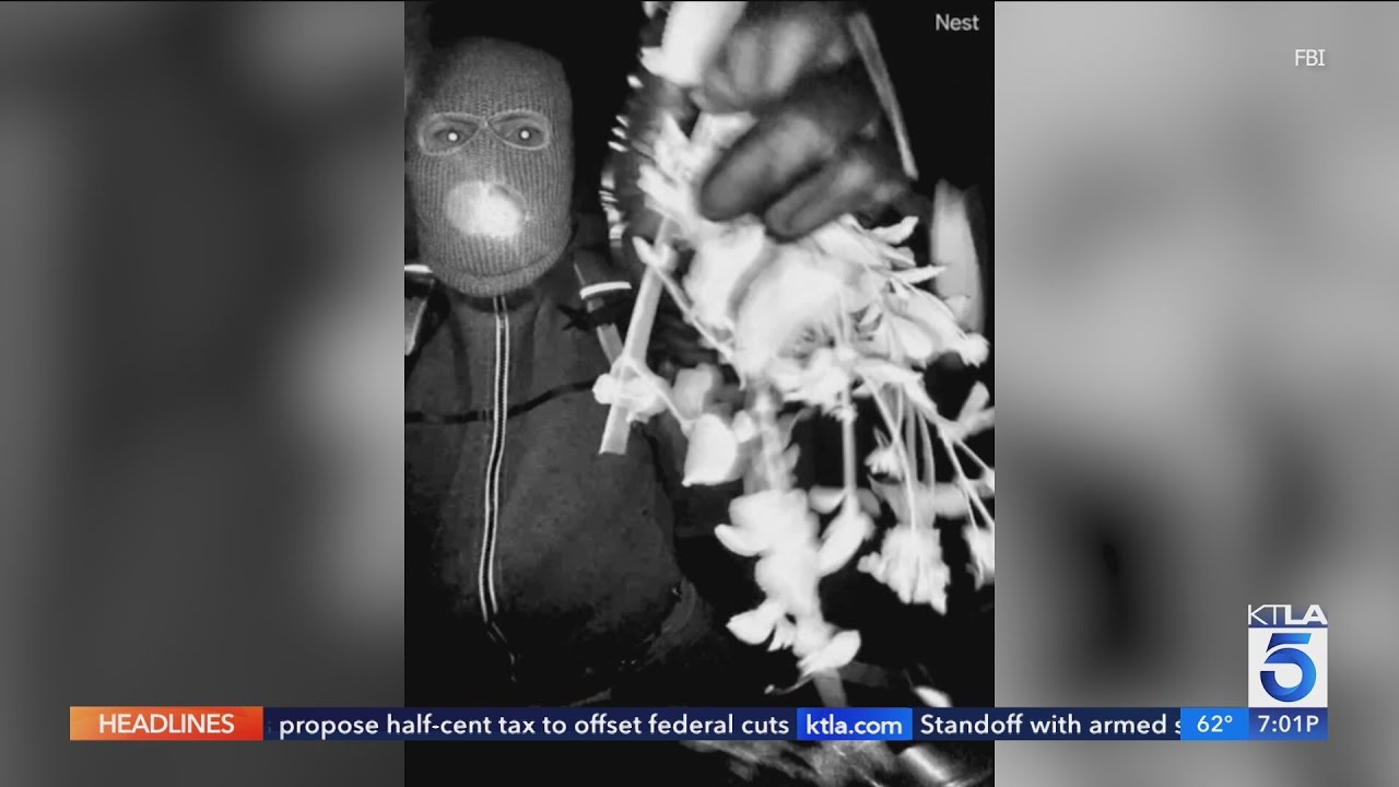 Surveillance photos of ‘armed individual’ at Nancy Guthrie’s house released