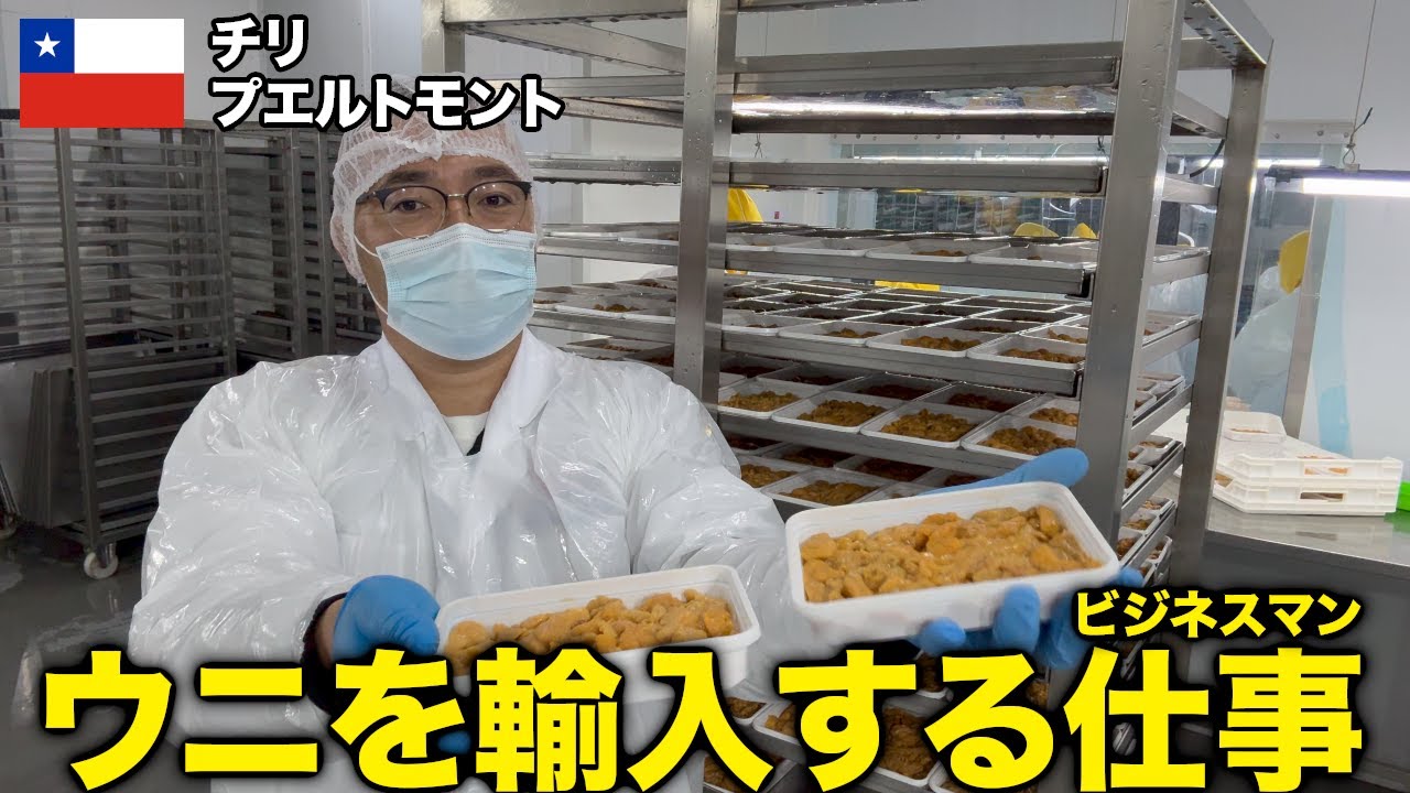 チリから日本へウニを輸入するビジネスマンの苦悩
