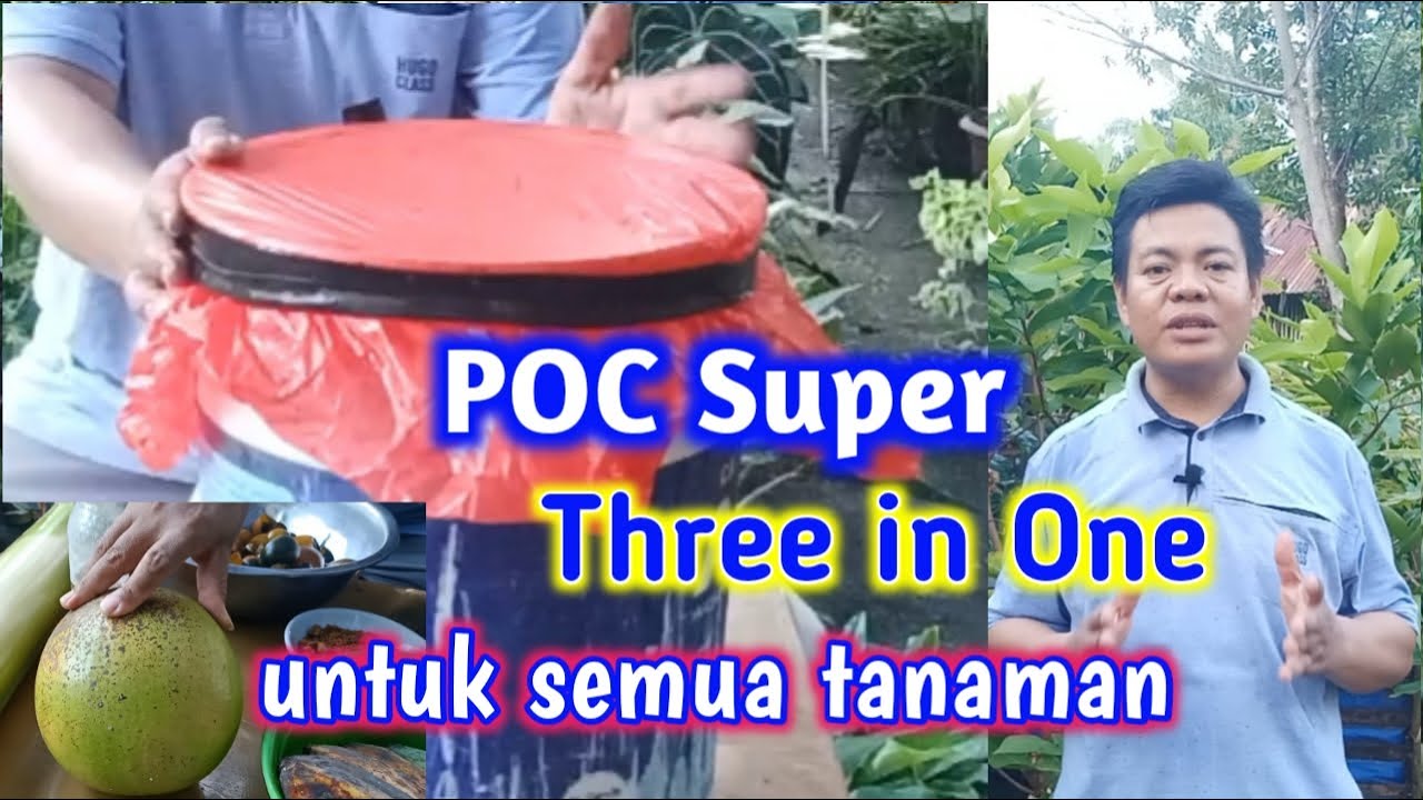 Cara Membuat POC Super Terbaru || NPK, MOL dan ZPT
