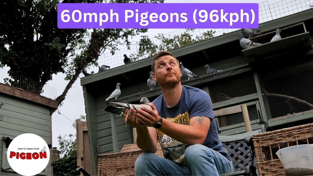 (Ep.89) 128 Mile Race!