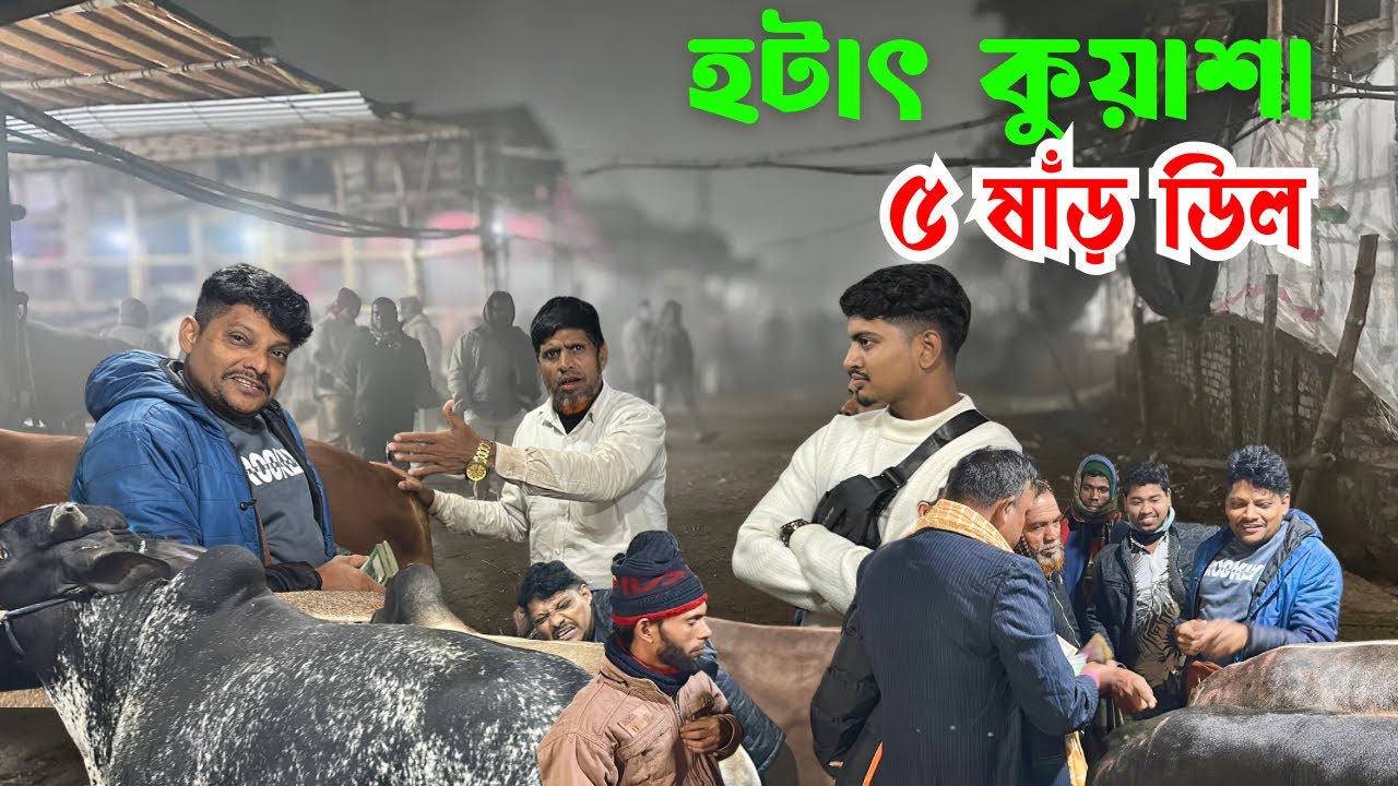 হাট প্রায় শেষ, হঠাৎ কুয়াশা! গাবতলী হাটে আকরাম ভাইয়ের দেশি ষাঁড় কেনা | ৩ জানুয়ারি ২০২৬