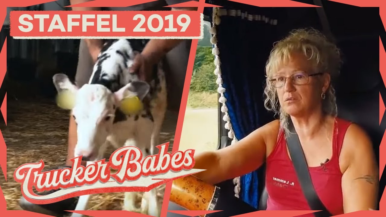 Brand in Nachbarswohnung: Bettinas Einfahrt zum Hof versperrt! | Trucker Babes | kabel eins