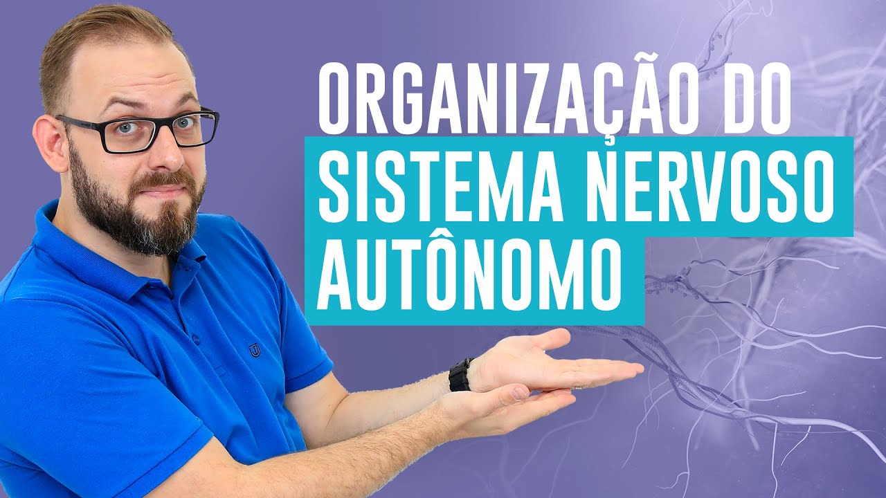 Aula de Farmacologia - Organização do sistema nervoso autônomo | Prof. José | Farmacologia Fácil