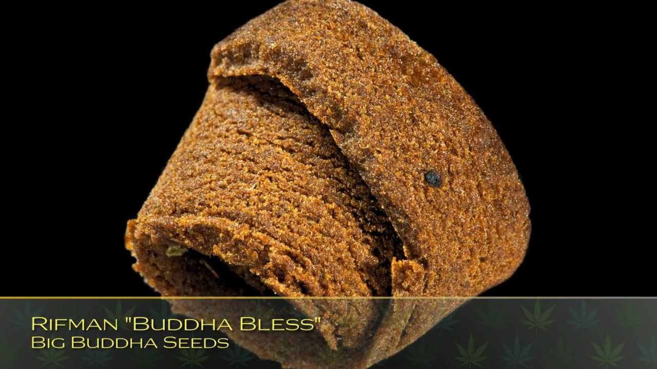 26th Annual HIGH TIMES Cannabis Cup Strain Entries: Seed Company Hash