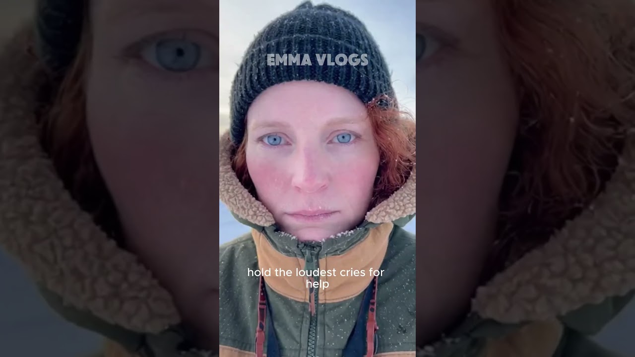 Saving an Arctic Fox: A True Hero’s Journey 🦊❄️