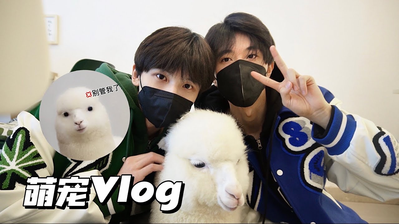 jielin couple and pets