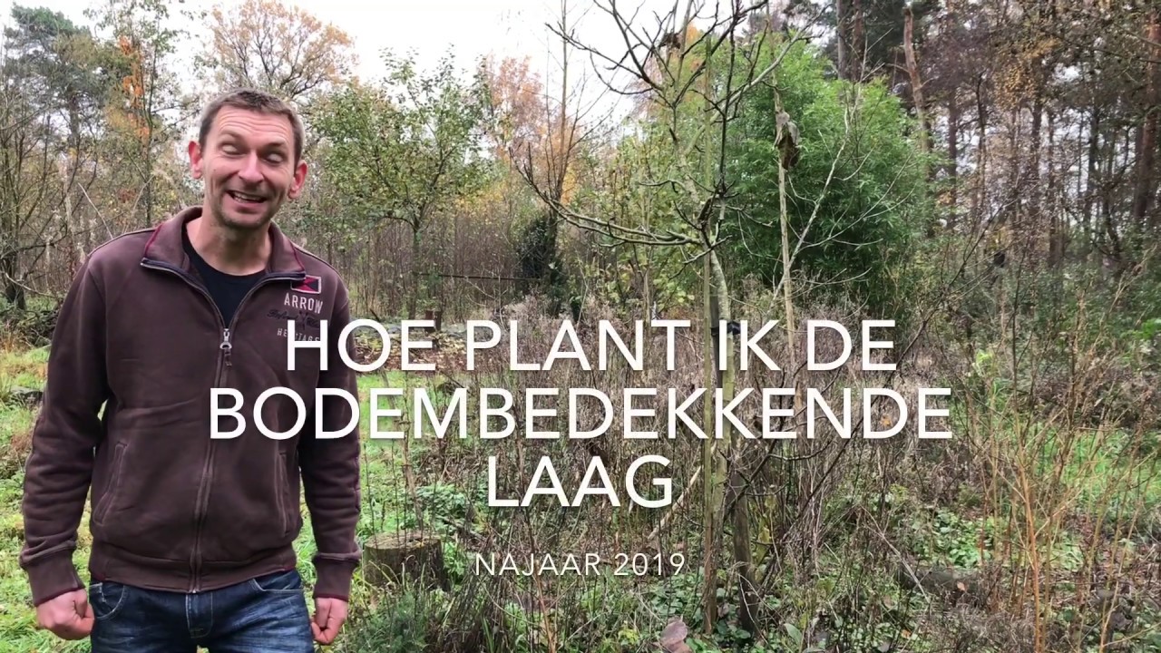 Aanplanten van een voedselbos