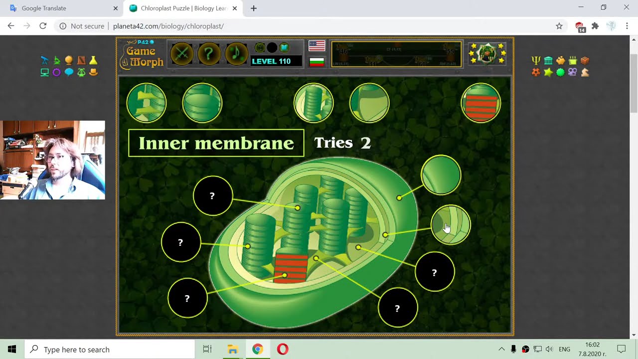 The Chloroplast Structure - Interactive Biology Lesson 🦠🎥🎓