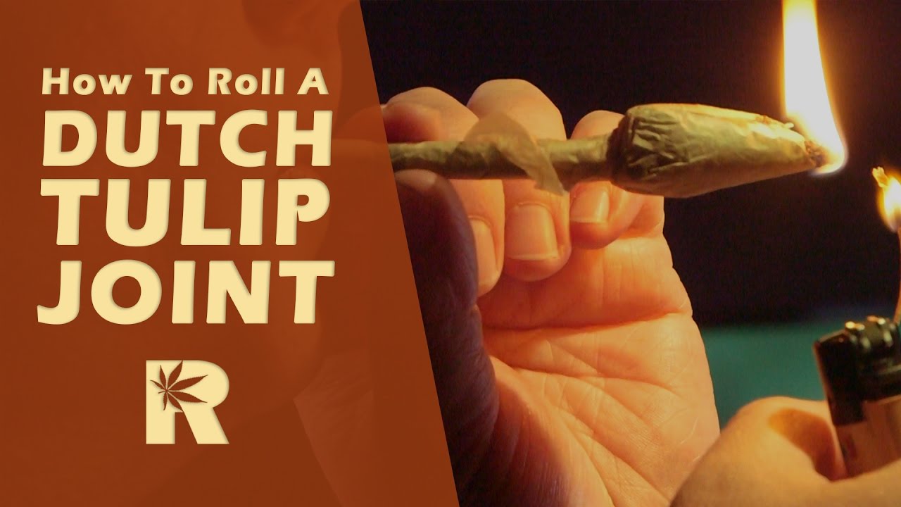 How To Roll A Dutch Tulip Joint: Cannabasics #21