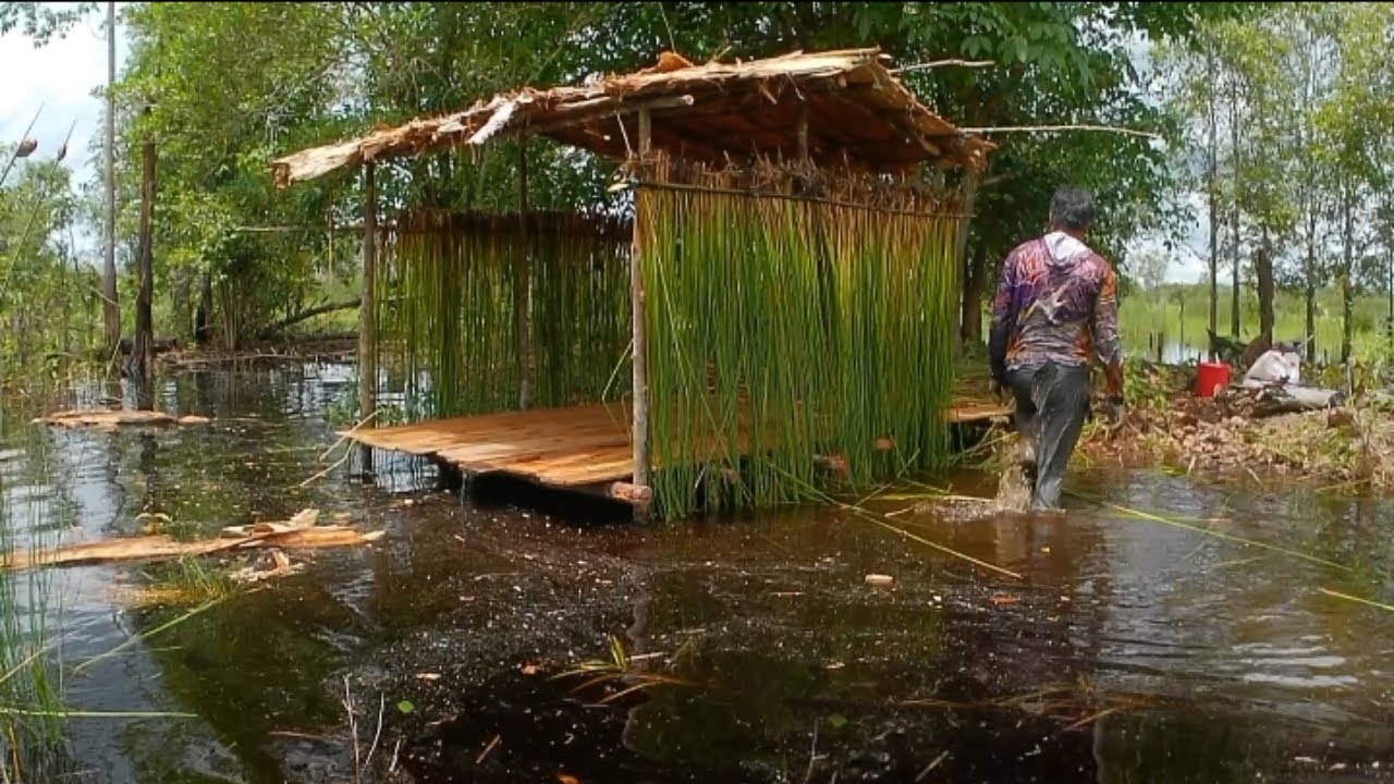 Mencari ketenangan di hutan mendirikan pondok memasak dan tidur sepanjang malam