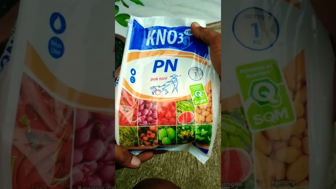 PUPUK KNO3 PUTIH PN PRILL PAK TANI 1 KG - KNO3 PUTIH PN PRILL  