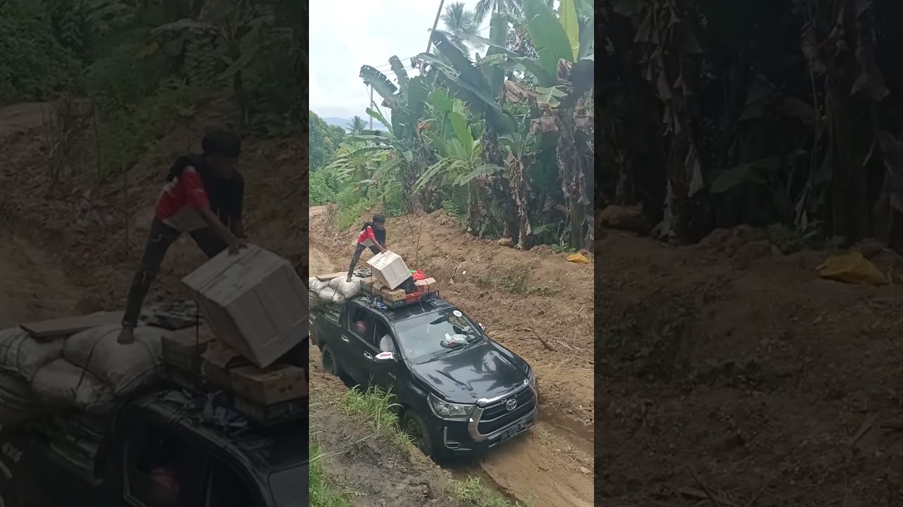 CERITA INDAH SOPIR LOLODA UTARA 