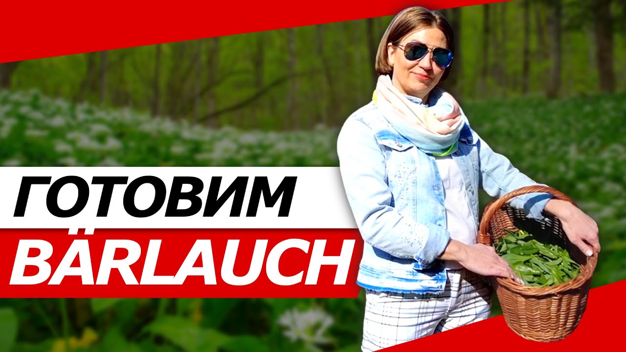 ГОТОВИМ ДИКИЙ ЧЕСНОК (BÄRLAUCH)