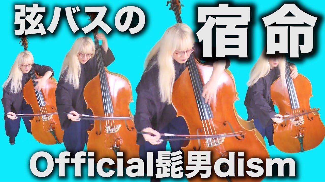 「宿命」Official髭男dism コントラバスだけで演奏してみた。