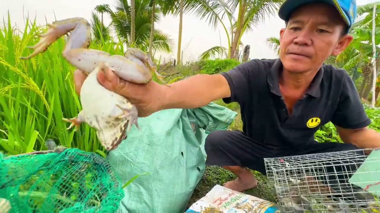 TẬP.174/lần đầu tiên hai anh em đặc lộp ếch