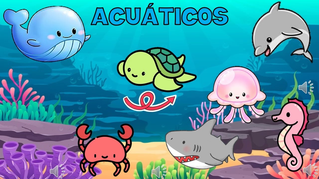 ANIMALES TERRESTRES, ACUATICOS Y AEREOS - PREESCOLAR