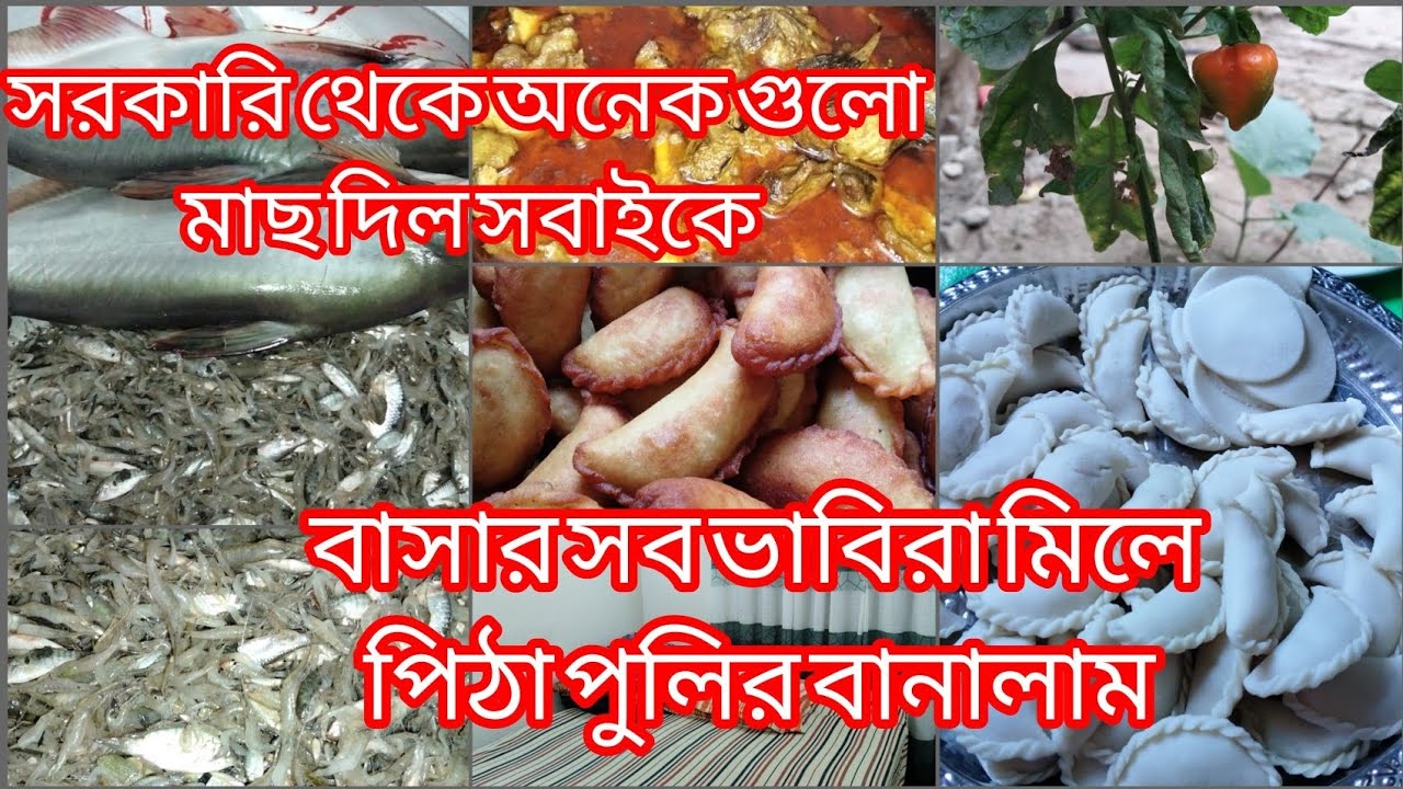বাসার সব ভাবিরা মিলে পিঠা পুলির আয়োজন করলাম/সরকারি থেকে সবাইকে অনেক গুলো মাছ দিল।। 