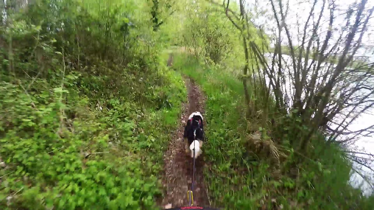 CANI VTT arques la bataille 2017