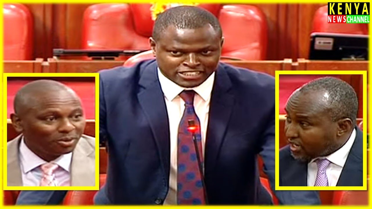 Parliament in TOTAL SILENCE as Brilliant Ndindi Nyoro speaks on Cybercrime Bill after Junet Ichungwa