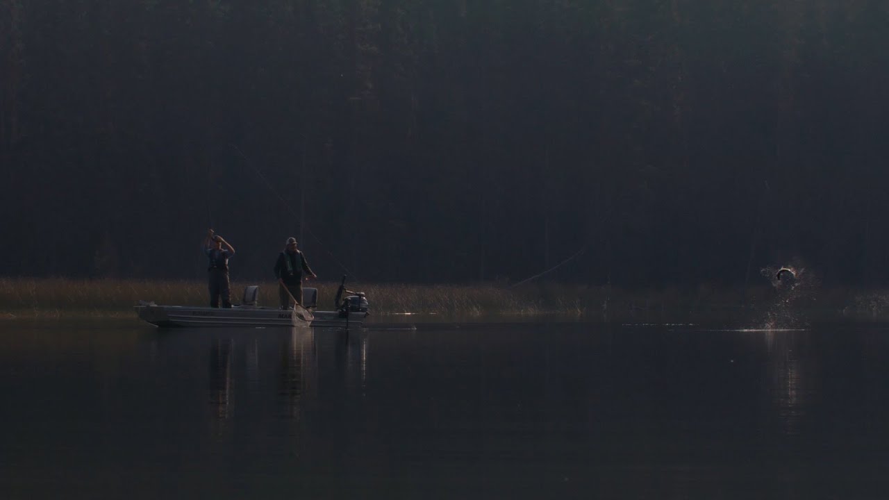 Fishing BC Presents: Late Fall Stillwater with Brian Chan