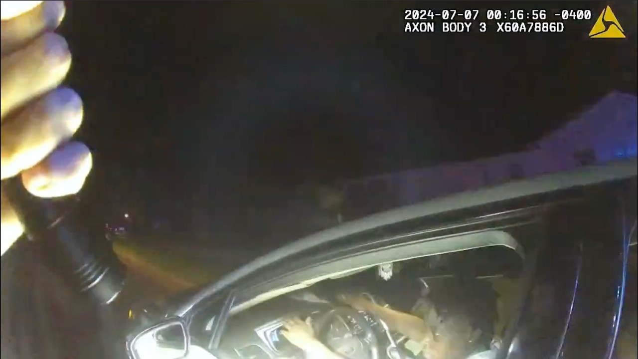 Woman Pulls Out Gun During Traffic Stop, Ends Terribly