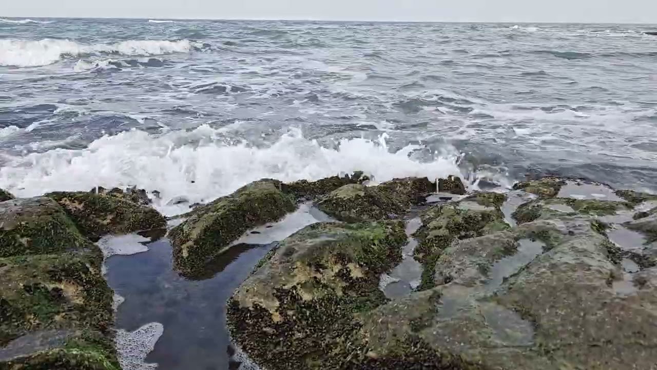 Relaxing Sea Waves 🌊 | Ocean Sounds for Stress Relief & Sleep