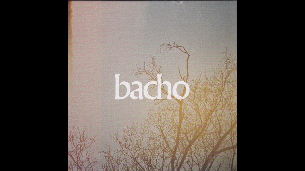 bacho - ビコーズ
