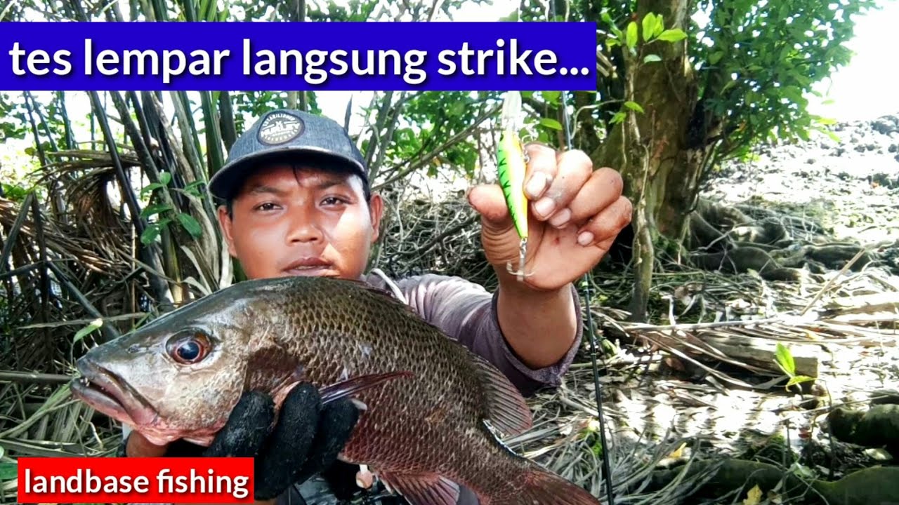 Casting MJ Mangrove jack Pakai Lure Minnow