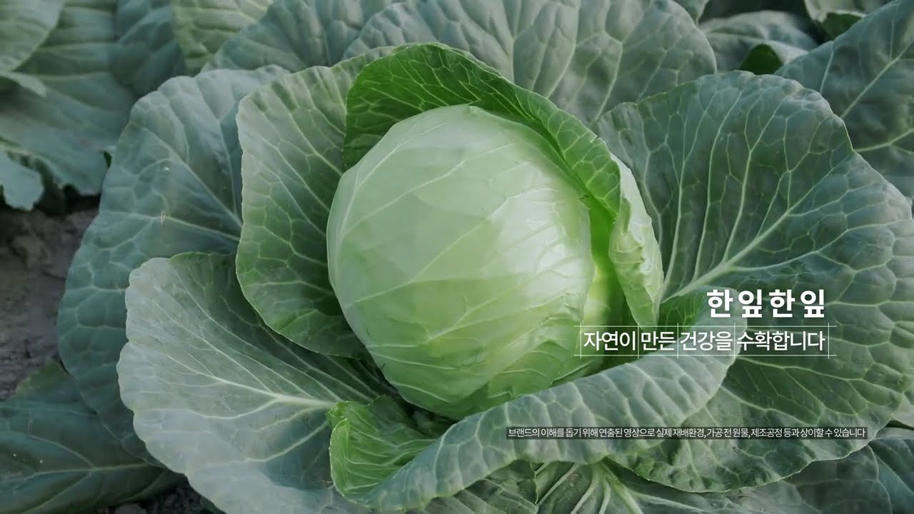 [제주농장]홈쇼핑 인서트 홍보 영상 제작 ｜제주농장 양배추즙_브랜드