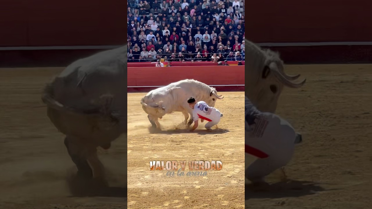 Susto de rodillas en Valencia Fallas, Rampeta #shorts