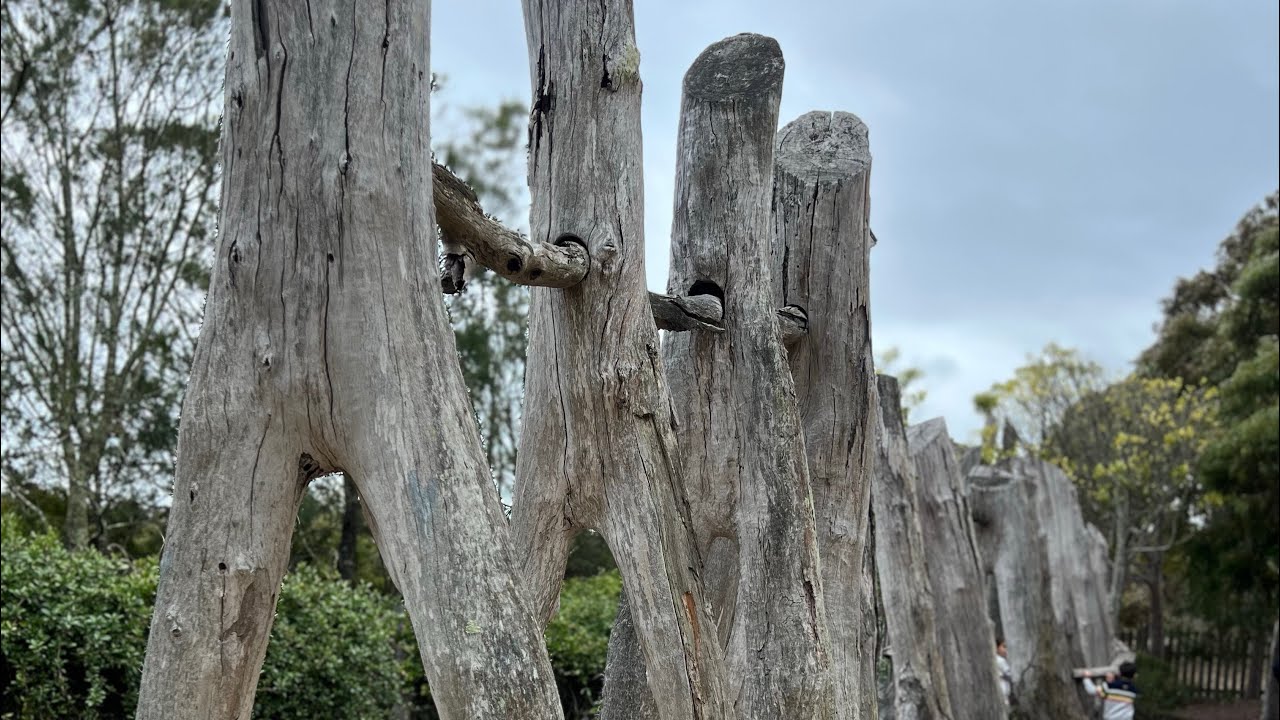 Royal garden Cranbourne 