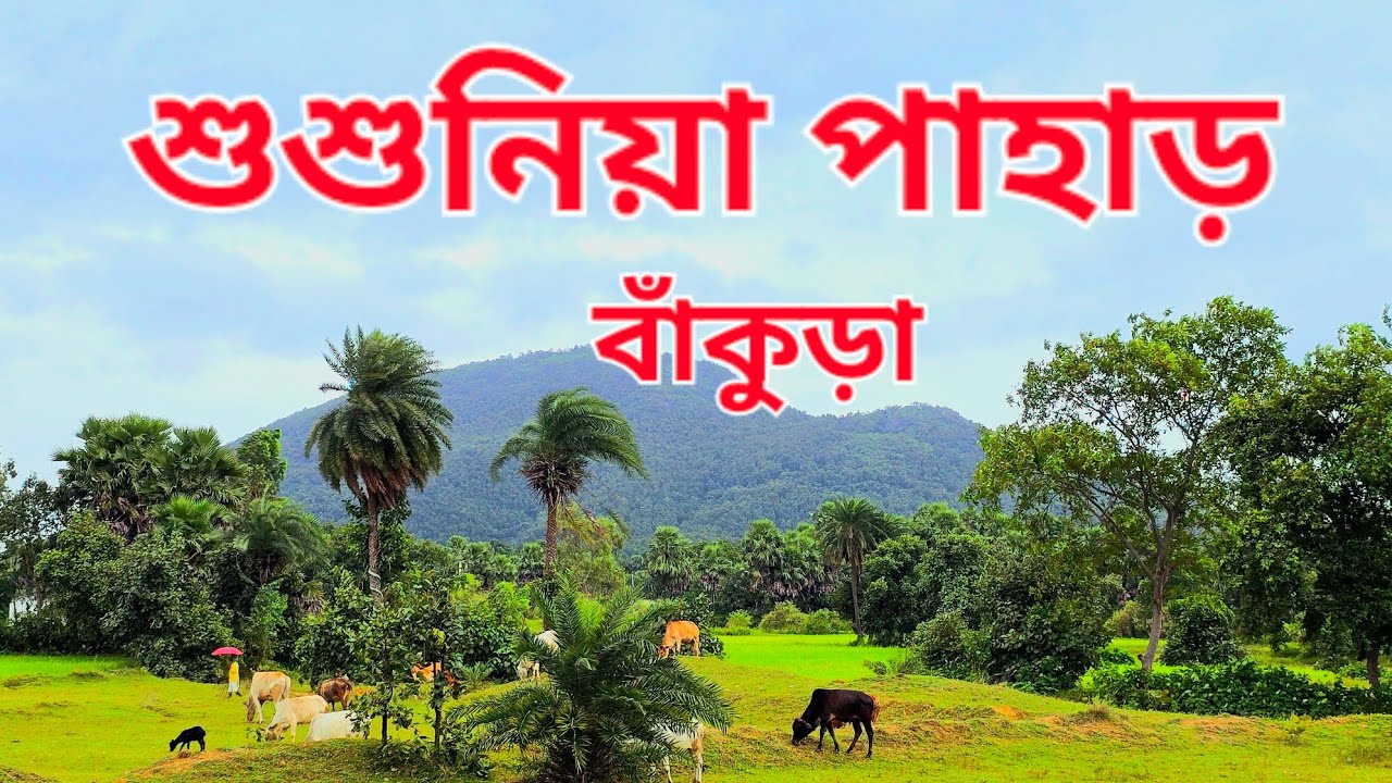 📍Sold out 📍 🌴শুশুনিয়া পাহাড় থেকে জমির দূরত্ব মাত্র ১.১ কিলোমিটারপিচ রাস্তায় রোড ৪০০ ফুট 🌴📌⛰️#land